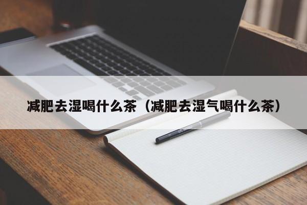 减肥去湿喝什么茶（减肥去湿气喝什么茶）