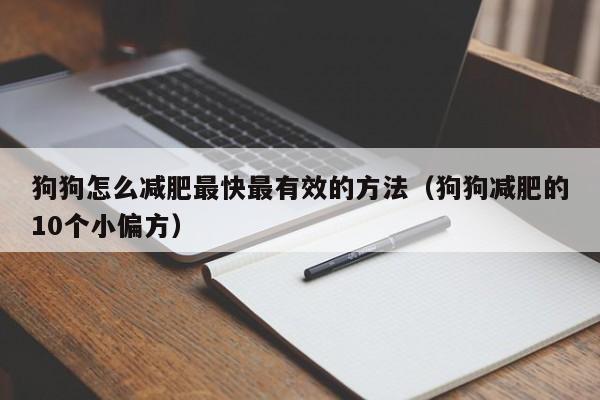 狗狗怎么减肥最快最有效的方法（狗狗减肥的10个小偏方）