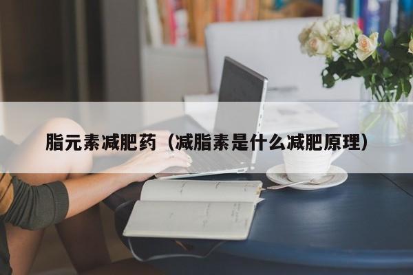 脂元素减肥药（减脂素是什么减肥原理）